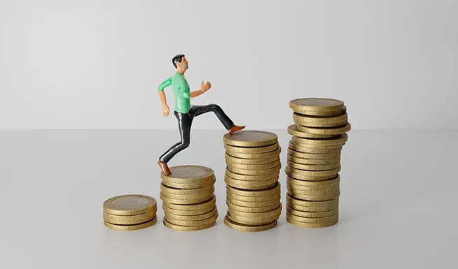 Artículo 27. Salario mínimo interprofesional. SMI